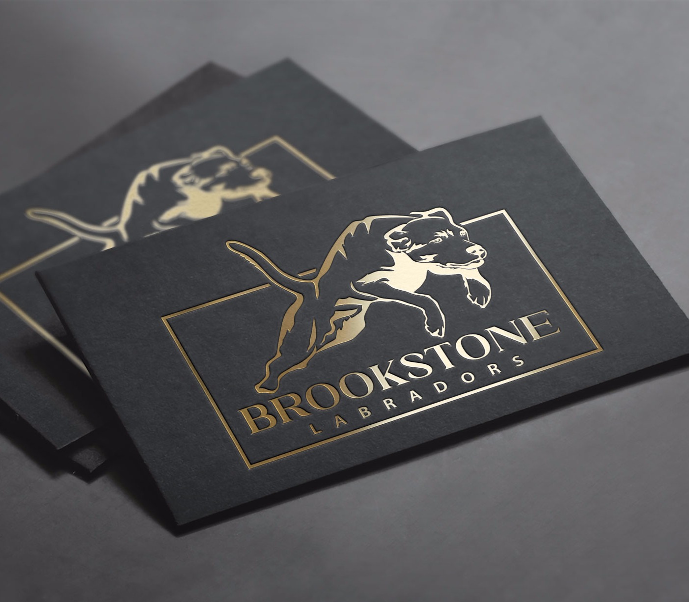 Logo for Bracco Italiano breeders. UK professional kennel logo