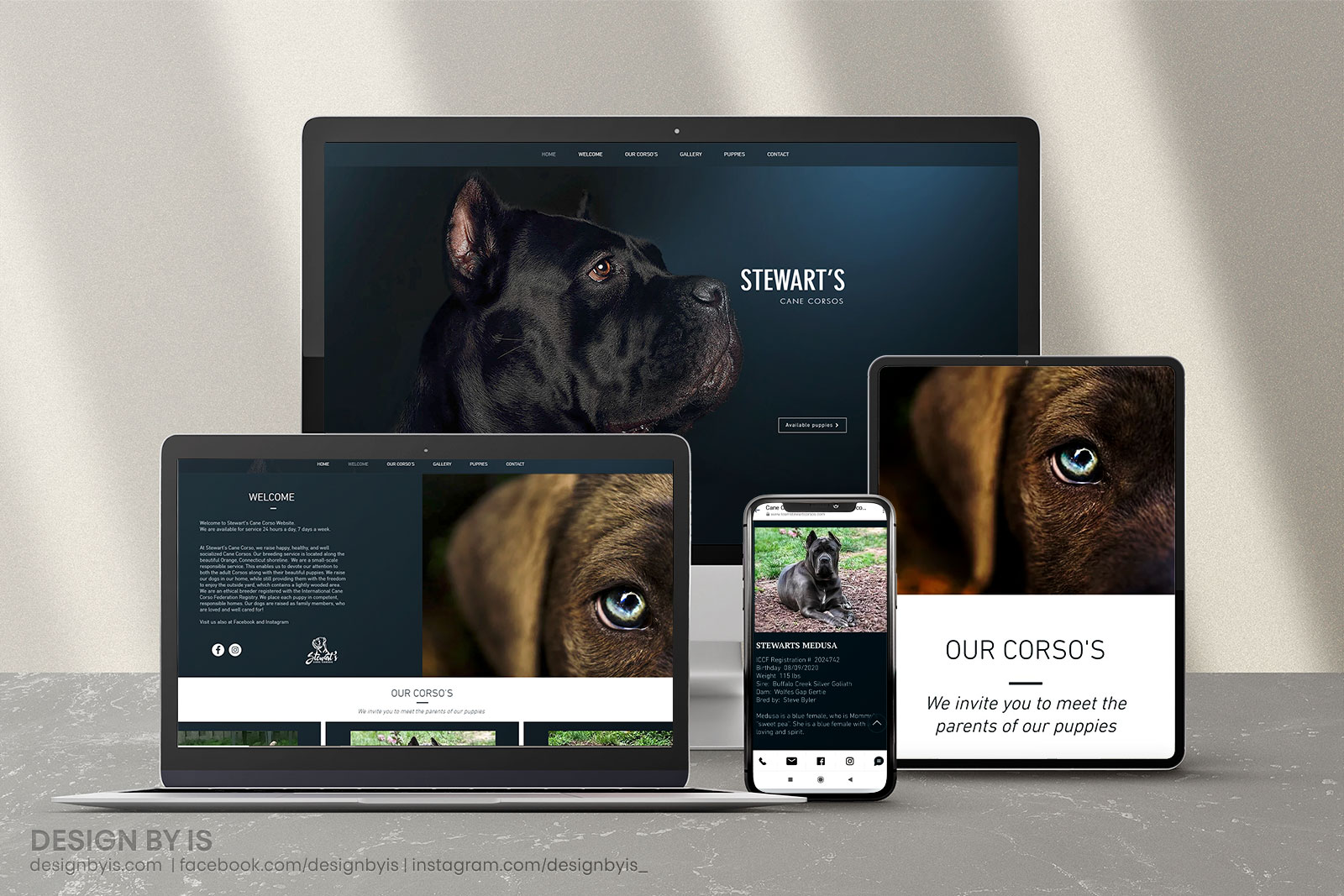 Breeder web designer USA