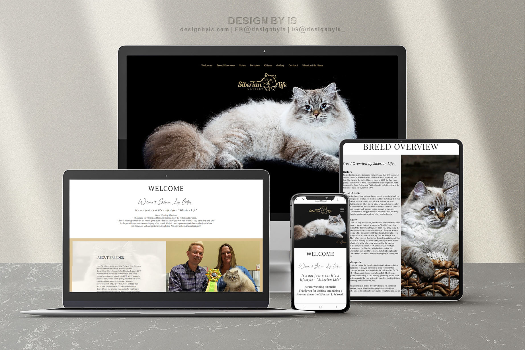 Cattery web site design