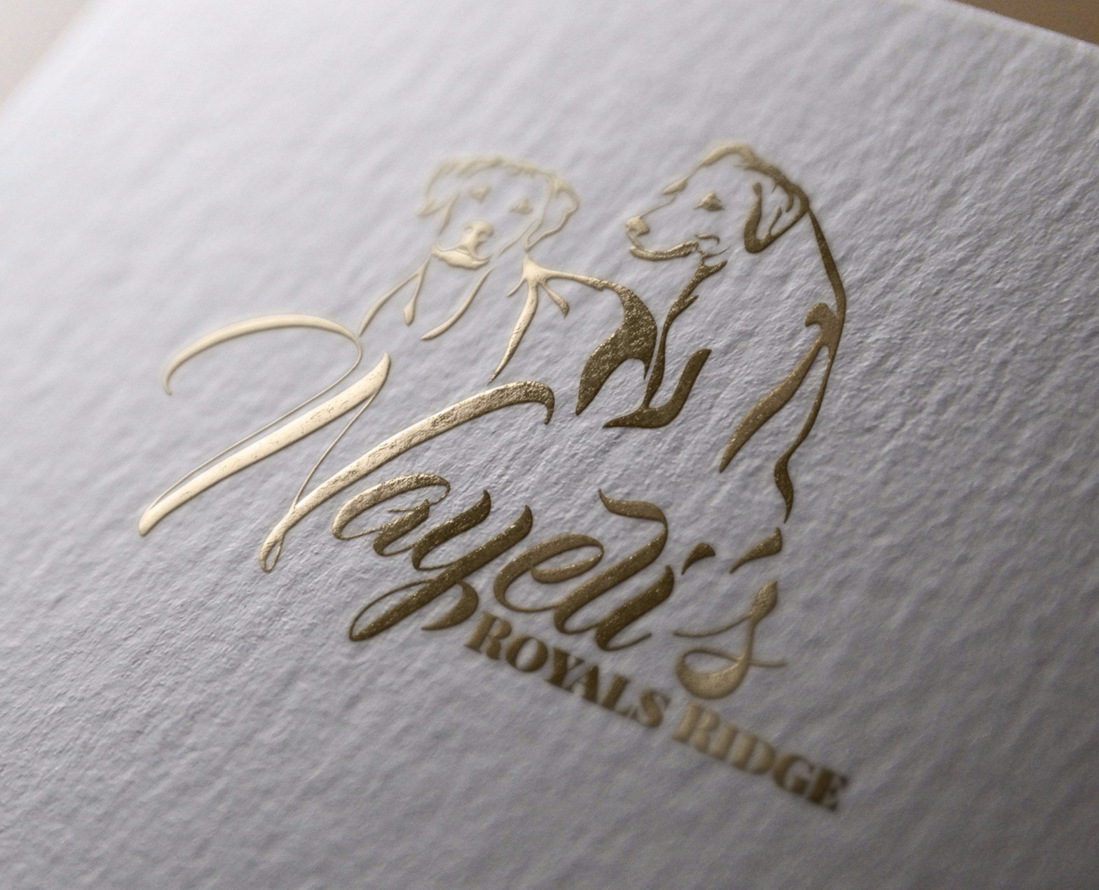 Dog logo. Rhodesian Ridgeback custom logo