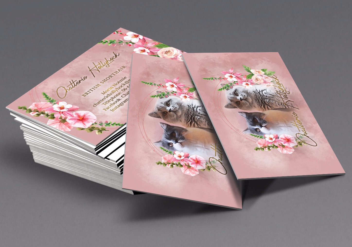 Business cards for cat breeder