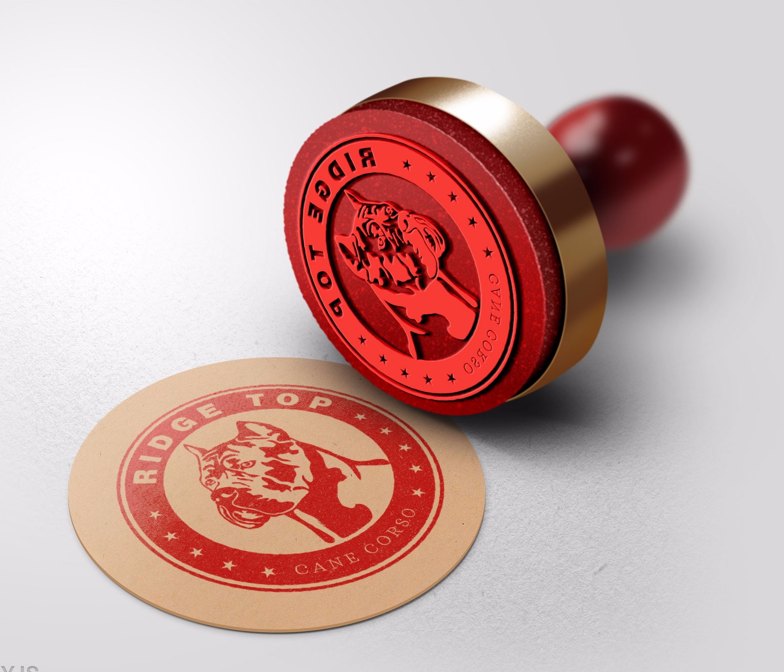 Custom Cane corso Logo for breeder